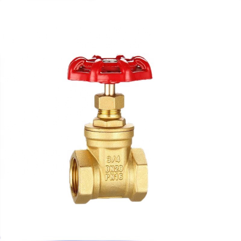 Gate Valve 1/2" Stainless Steel 304